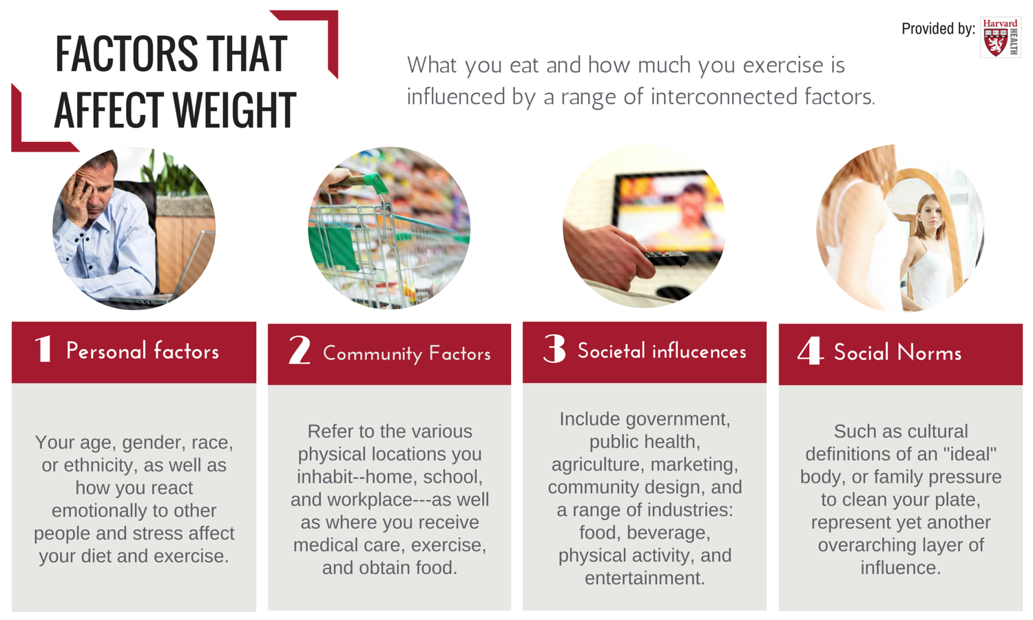 What Are The Factors Affecting Physical Fitness And Wellness - All